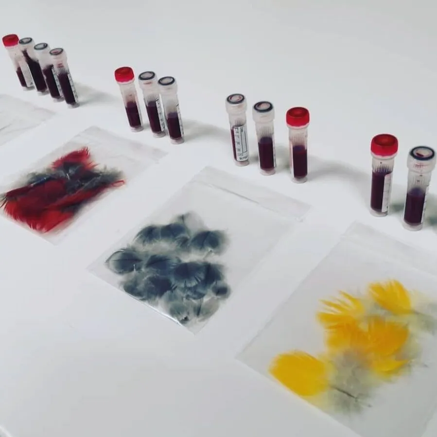 Laboratoire